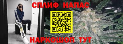 прущая мука Гай