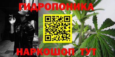 прущая мука Гай