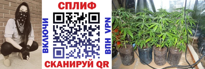 Шишки марихуана планчик  Полысаево 